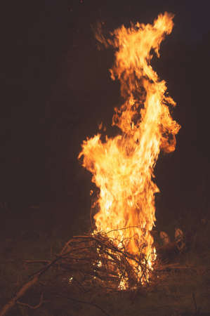 Evening bonfire with sparks close-up in the dense forests of Russia, hiking camping.