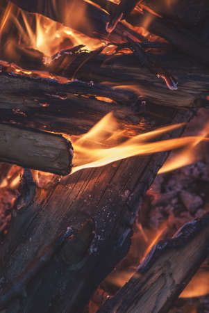 Burning wood in a campfire summer evening close-up
