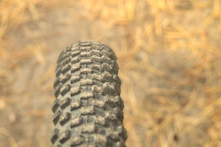 Bicycle off-road tire on the background of the autumn needles on the sunny forest road. Rubber wheel protector mountain bike close-upの写真素材