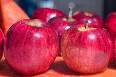 Ripe rustic red autumn apples on the background of watermelon. Fruit harvest in nature in fall season orchardの写真素材