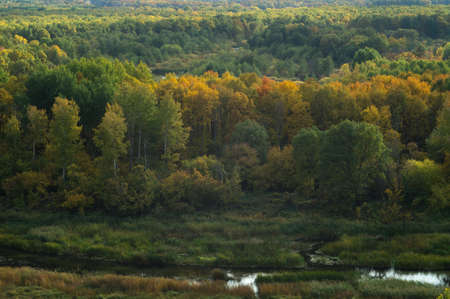 A small overgrown river flowing along a gloomy autumn forest. Aerial wiew nature landscape.の写真素材