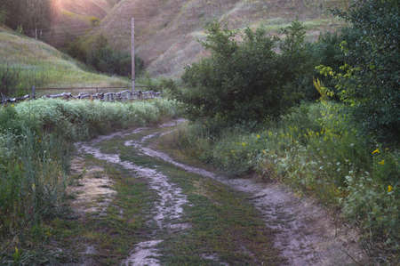 Winding mountain road in a hilly valley. Rural highland landscape, streets off the beaten path. Russian villageの写真素材
