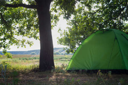 Tourist tent under a krone tree in a summer hilly valley. Outdoor recreationの写真素材