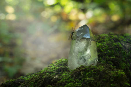 Quartz crystal on the background of autumn foliage. Beautiful gem chalcedonyの写真素材