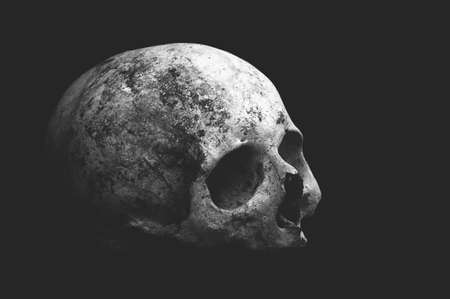 Real old human skull on a black background cranium close upの写真素材