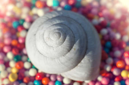Twisted seashell on the background of colored balls soft focusの写真素材