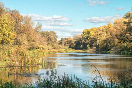 Autumn in the scenic Khoper river and picturesque forest path. Mood of the Russian outback, fall...