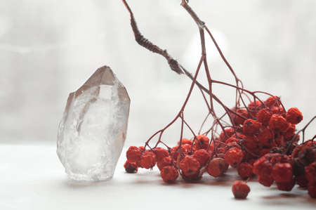 Snow white large crystal of pure transparent quartz. Chalcedony gem on background of bunch rowan berries, mountain ashの写真素材