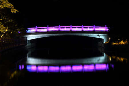 Lychee Wan Chung Nightの写真素材