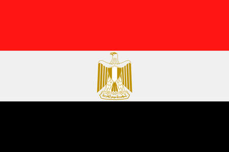 Egypt Flag  icon.のイラスト素材