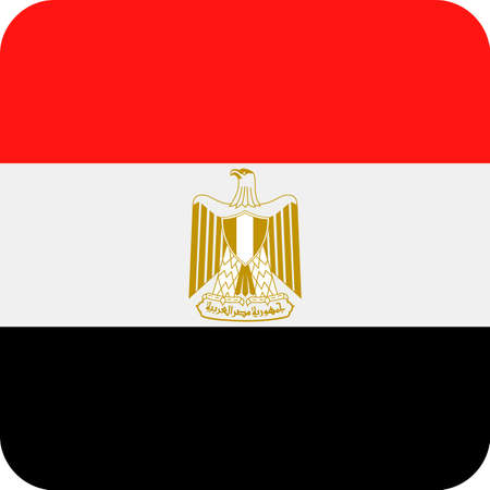Egypt square flag icon.のイラスト素材