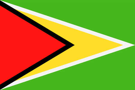Guyana Flag Vector Icon - Illustration