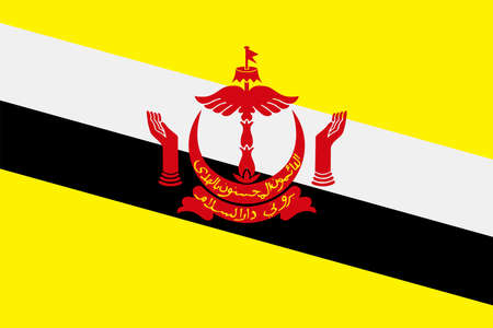 Brunei Flag Vector Icon - Illustrationのイラスト素材