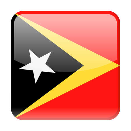 East Timor flag vector square icon - illustration on white background.のイラスト素材