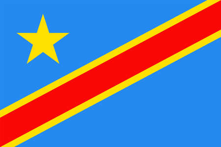 Democratic Republic of the Congo flag vector icon illustration.のイラスト素材