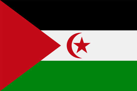 Sahrawi Arab Democratic Republic Flag Vector Icon   Illustrationのイラスト素材