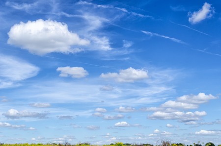 blue sky summer day in the wild countrysideの写真素材