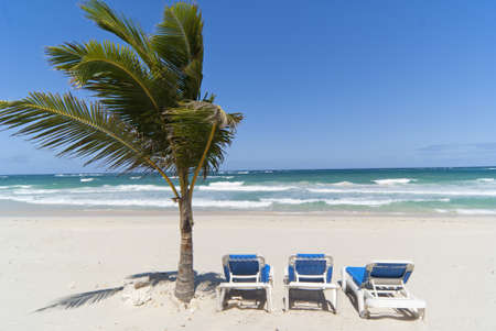 Relax on the dominican beachの写真素材