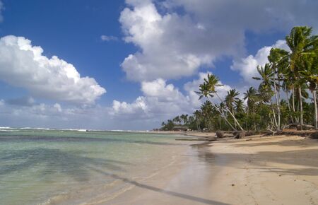 Wild caribbean beach surrounded with palm trees and beautiful ocean