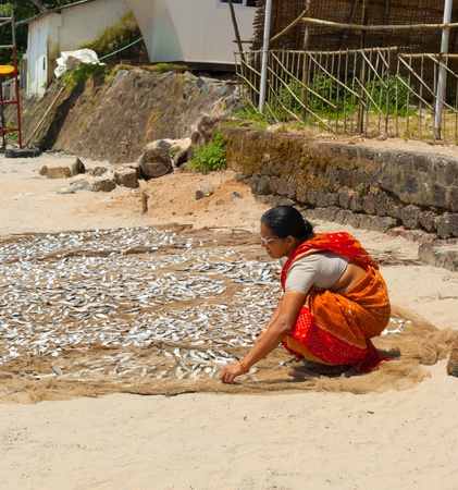 GOA, INDIA - SEPTEMBER 24, 2011: Indian woman in bright sari apportion fresh fish on the fishing net, Palolem beach, SEPTEMBER 24, 2011のeditorial素材