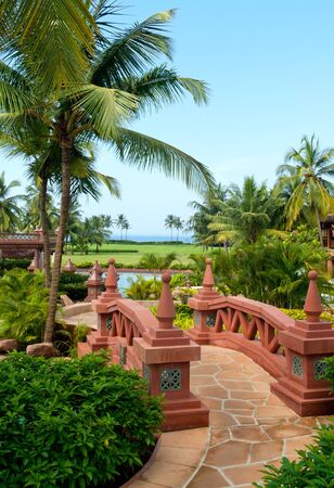 Beautiful tropical palm trees garden with foot- bridge.South Goa.Indiaのeditorial素材