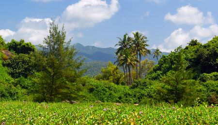 Tropical landscape near Palolem beach . South Goa. Indiaの写真素材