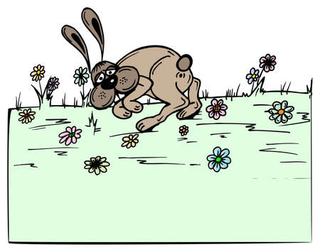 Brown rabbit in green field - vector illustration のイラスト素材