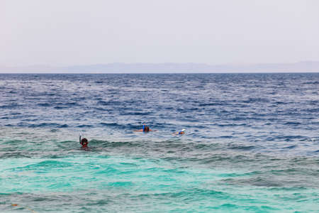 Divers snorkeling in Red Sea, Egyptの写真素材