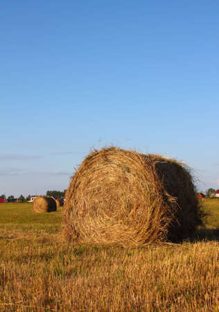 Hay roll in the field in front of village