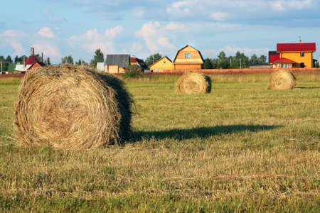 Hay roll in the field in front of village
