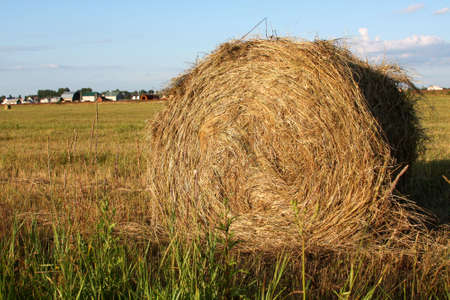 Hay roll in the field in front of villageの写真素材