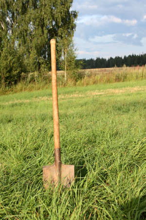 Shovel stuck in the field, overgrown with grassの写真素材