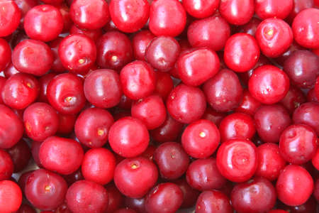 Background of freshly picked organic cherryの写真素材