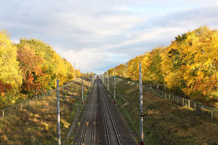 Railway traveling through yellow autumn trees. Top viewの写真素材