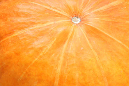 Full frame pumpkin backgroundの写真素材