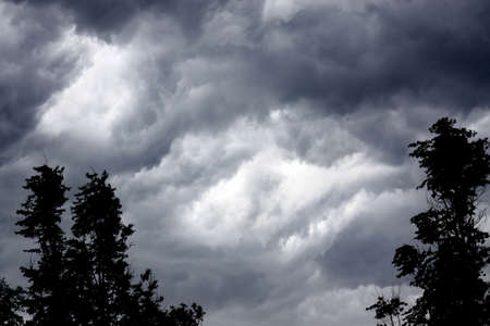 Dark storm clouds and tree tops