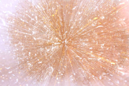 Defocused Christmas background of tinselの写真素材