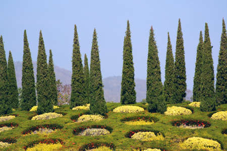 Cypress trees and flower beds in botanical gardenの写真素材