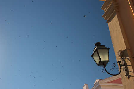 A classic street light on a wall of a building  Flock of swallows on the backgroundの写真素材