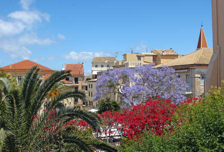 View of a mediterranean town with flowers on the foreground  Corfu, Greeceの写真素材