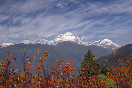 View at the Annapurna Himalaya Range, Nepal  Focus on the mountainsの写真素材