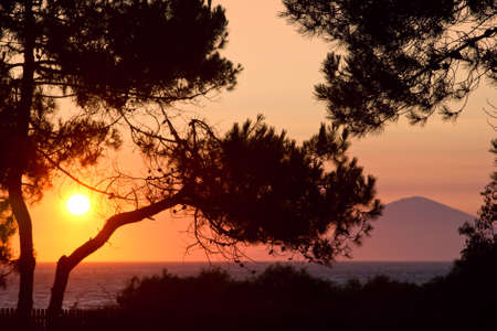 Sunset in Greece  View at Ionian sea with pines on the foregroundの写真素材