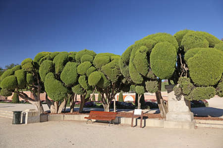 Decorative trees in Retiro park in Madrid, Spain