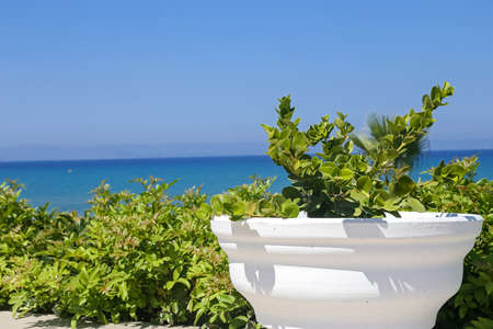 Seaview from the terrace of a hotel in Greeceの写真素材