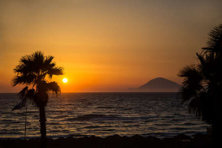 Sunset over the sea with silhouettes of palm treesの写真素材