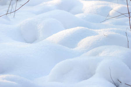Field of shiny white snow. Real snow surface for backgrounds. Shallow depth of fieldの写真素材