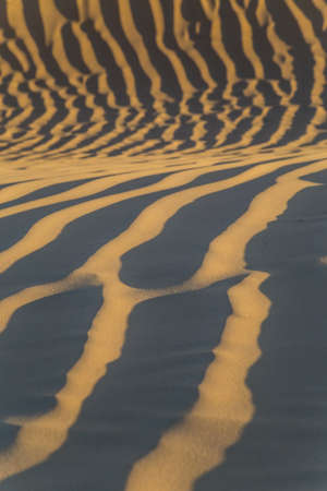 Wavy pattern on sand dunes created by windの写真素材