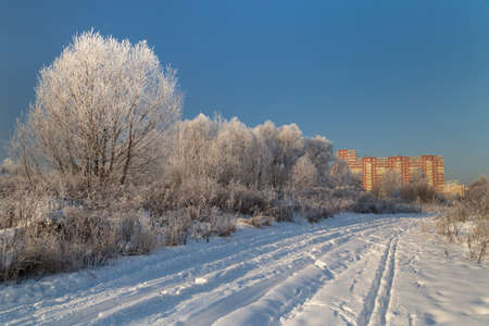 Snowy road leading to a town. Hoarfrost on tree branches on a sunny winter dayの写真素材