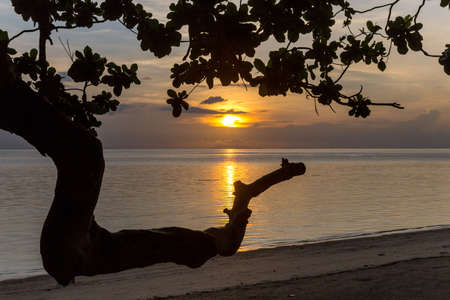 Sunset on a beach seen through tree branchesの写真素材