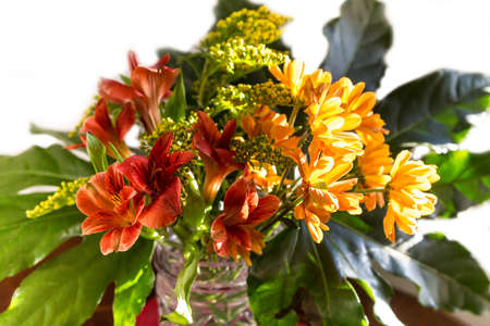 Bouquet of yellow, red and orange flowers lit by the sun. Chrysanthemum and goldenrodの写真素材